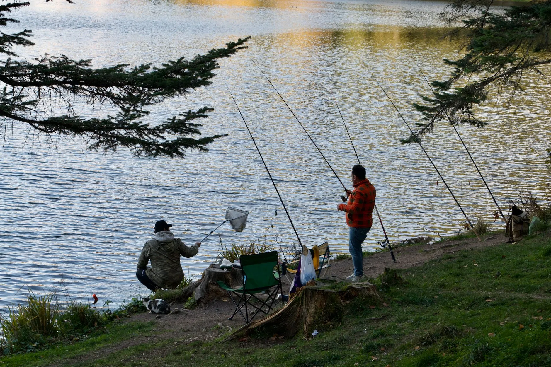 Zwei Angler am bewachsenen Seeufer mit mehreren Ruten in Rutenhaltern, Kescher und Klappstuhl